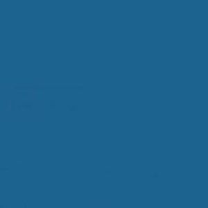 Meet your Posher, Tavia